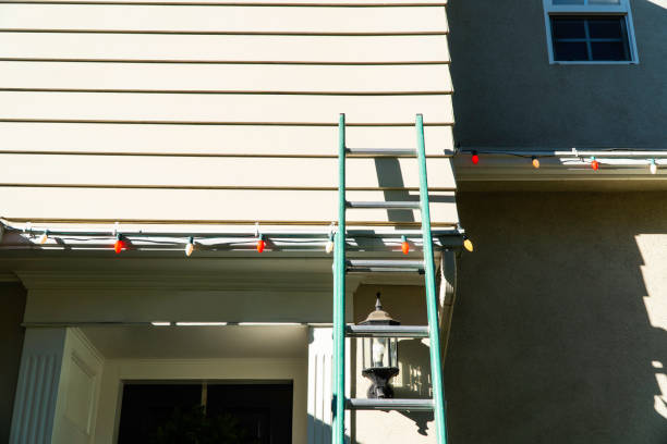 Best Residential Vinyl Siding Installation  in Ellsworth, WI