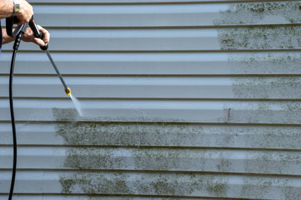 Best Historical Building Siding Restoration  in Ellsworth, WI
