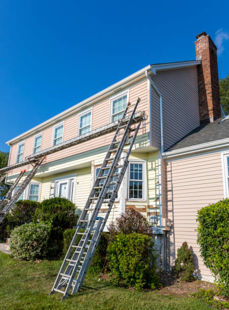 Best Custom Siding Design  in Ellsworth, WI
