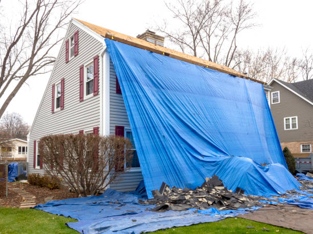 Best Siding Painting and Refinishing  in Ellsworth, WI